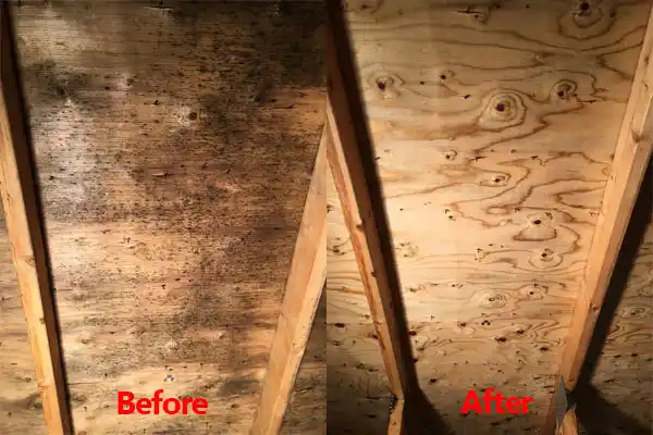 water damage restoration service New Boston